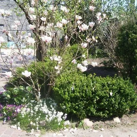 Apartament Gościnne Pod Magnolią Wiele