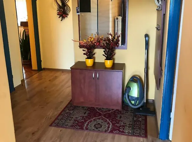 Goscinne Pod Magnolia Wiele